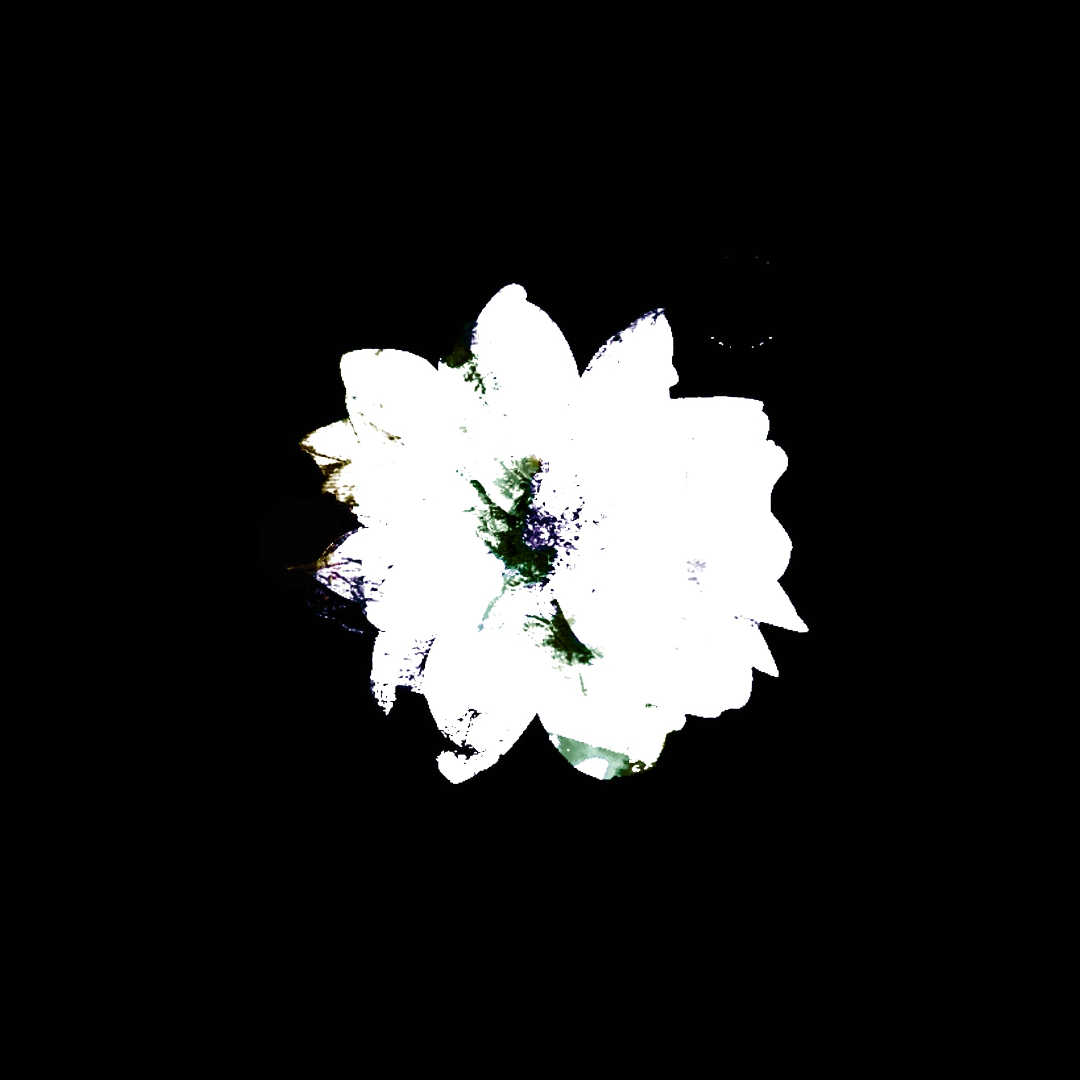 BILLYD3VINE Not Fair Cover Artwork