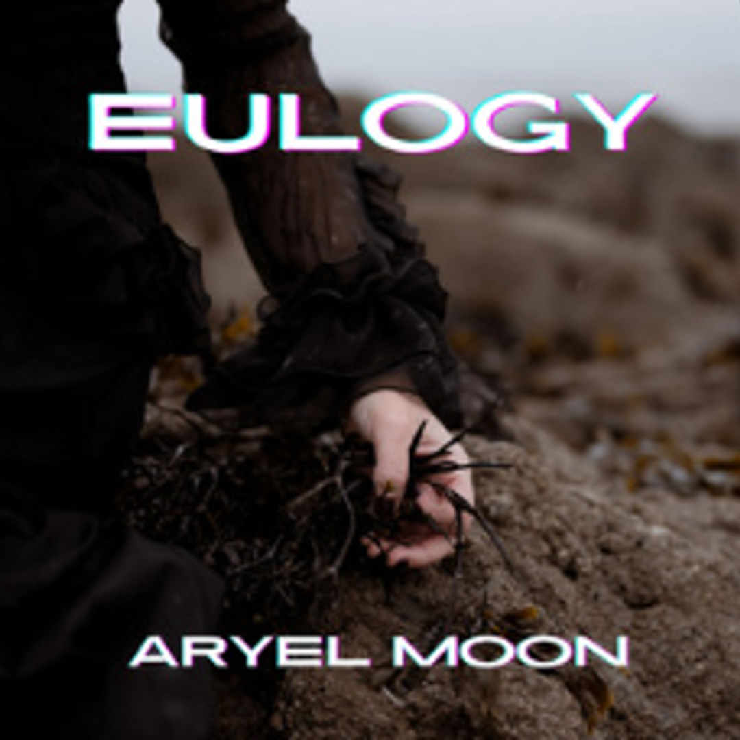 the Beat.ie - Aryel Moon