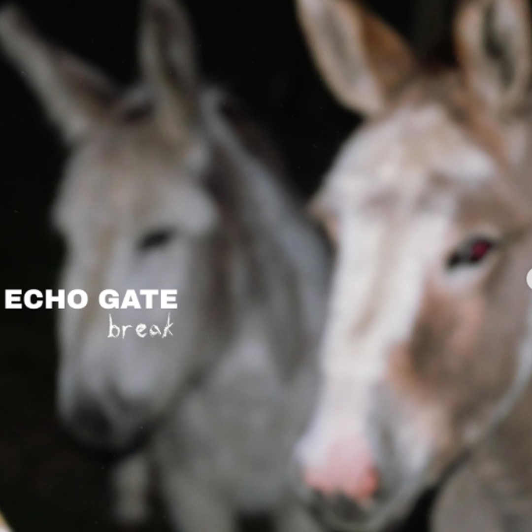 the Beat.ie - Echo Gate