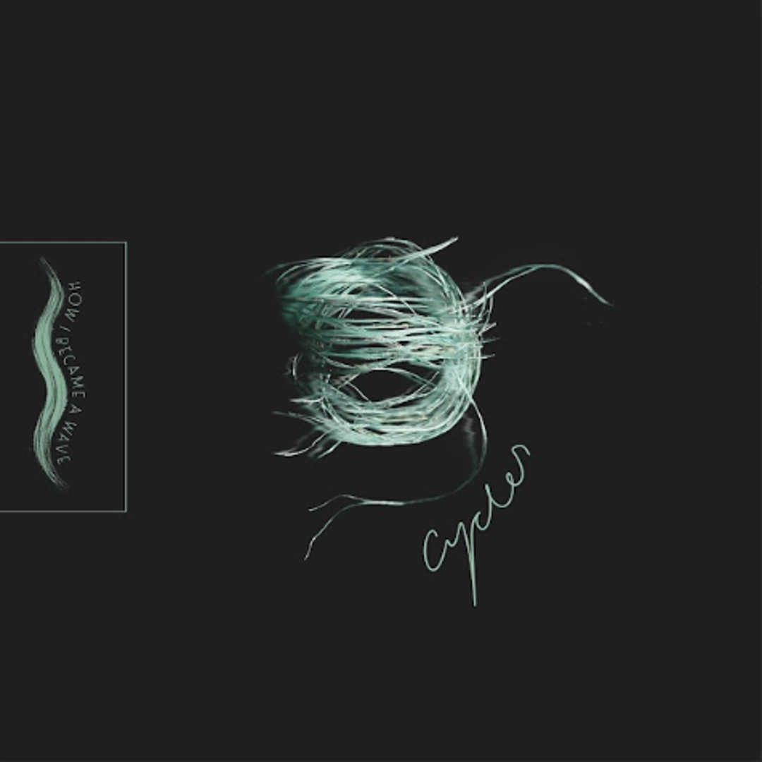 the Beat.ie - How I Became A Wave Circle