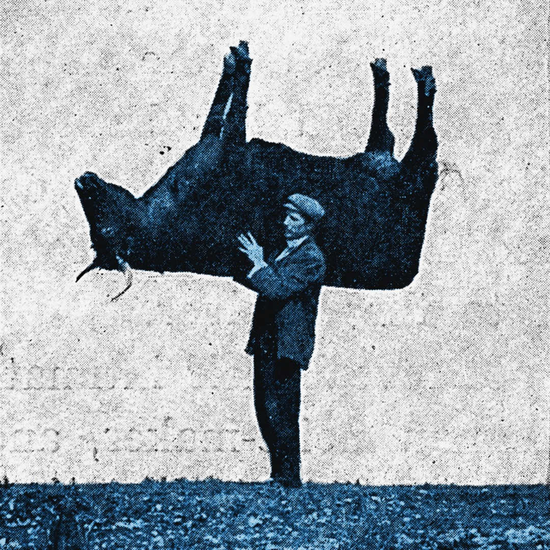 Sort Me Out Cover Artwork