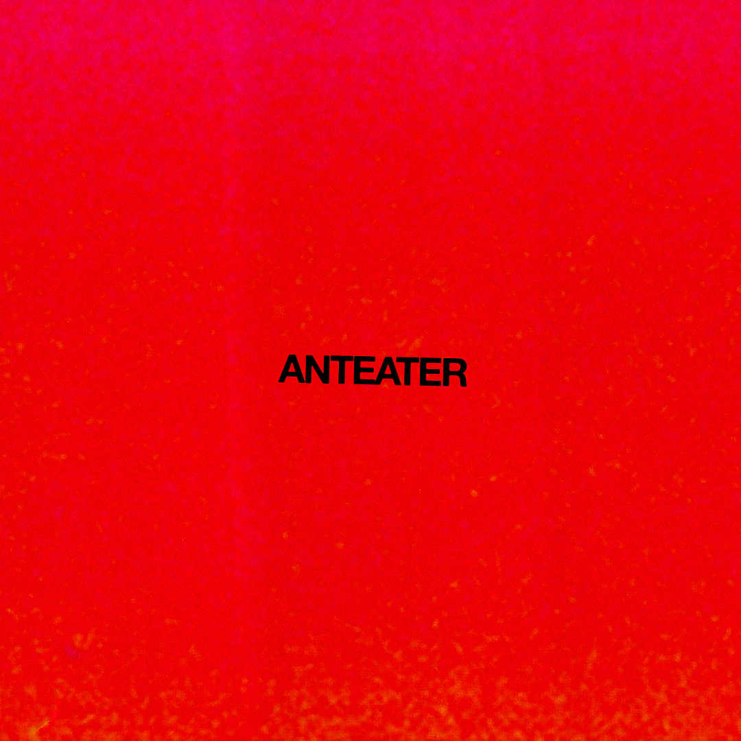 The Family Battenberg Anteater